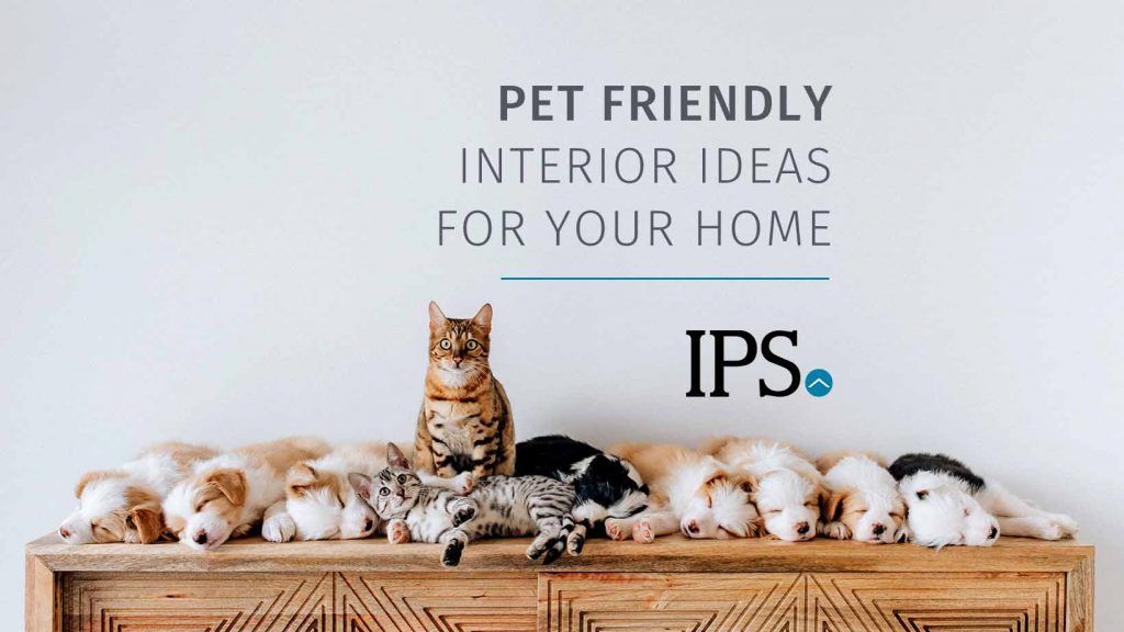 Pet Friendly Interior Ideas for Your Home