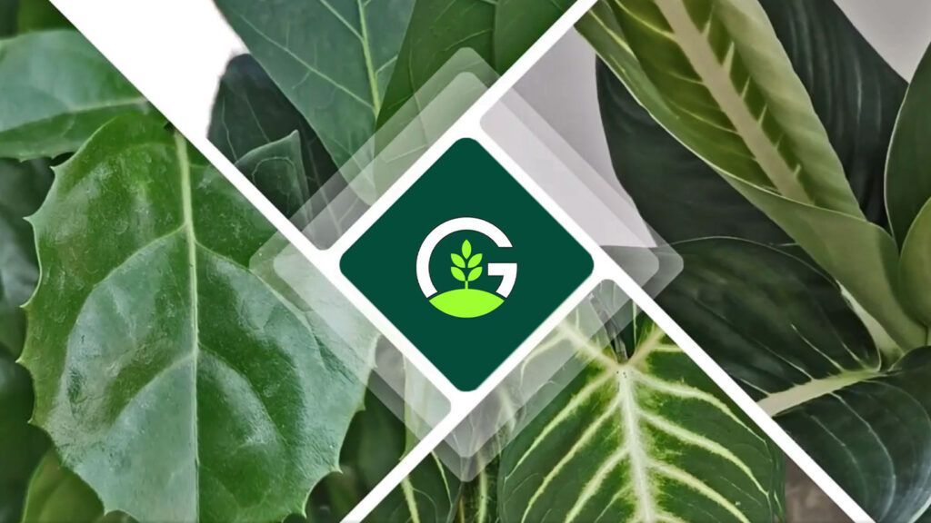 Green Leaf